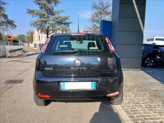 FIAT Punto 5p 1.4 natural power Young 70cv